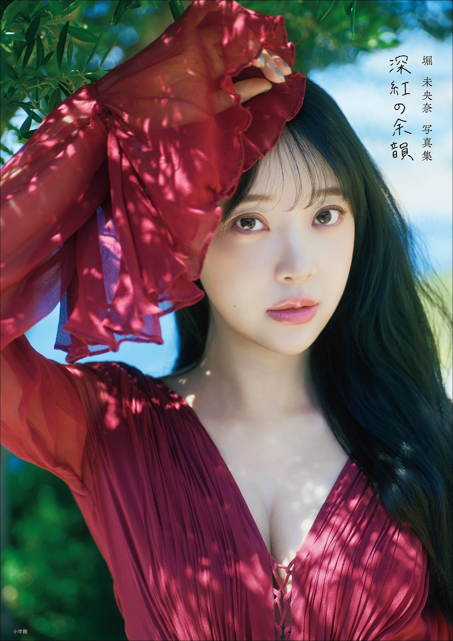 日本寫真-堀未央奈-深紅の余韻