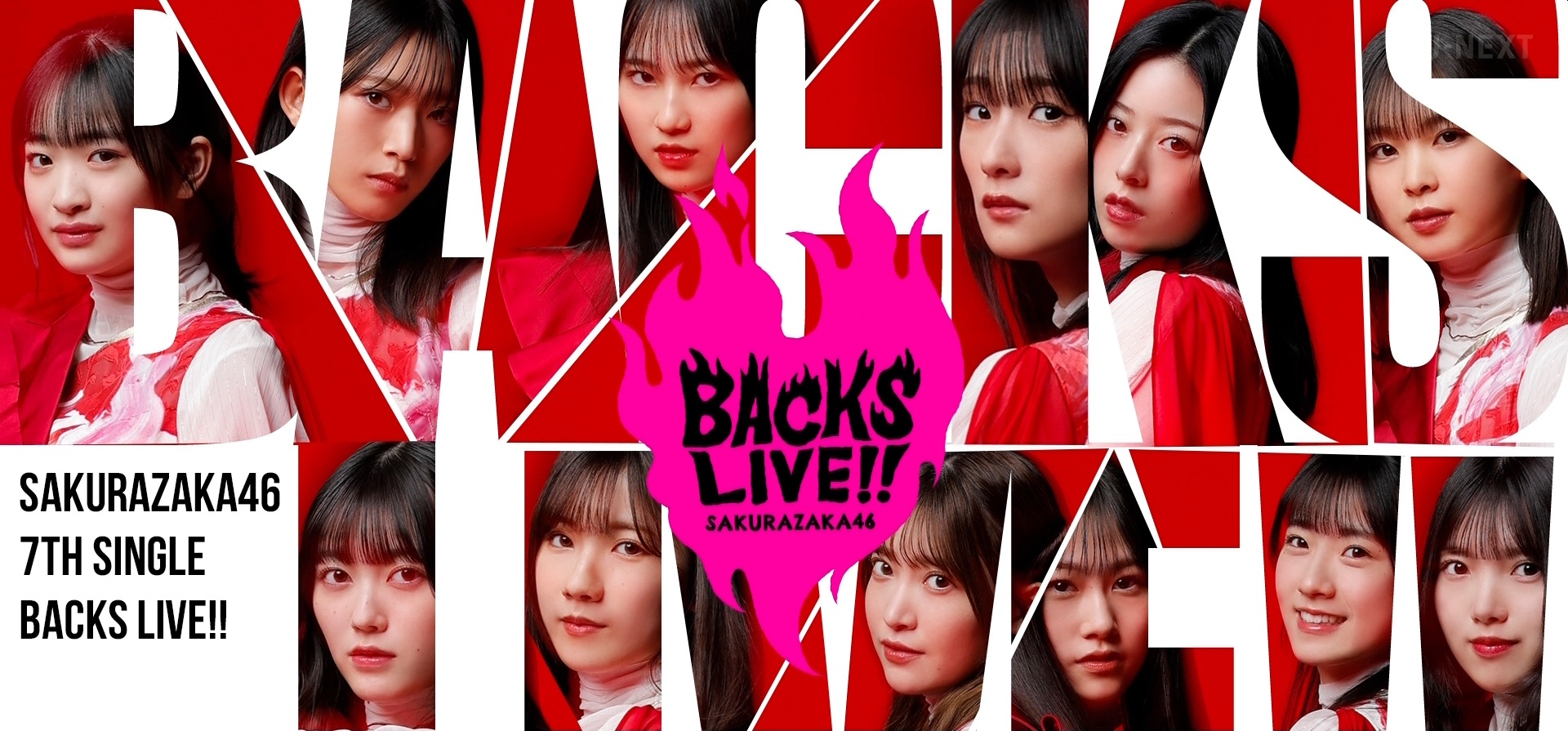 日音-櫻坂46-7th_Single_BACKS_LIVE!!