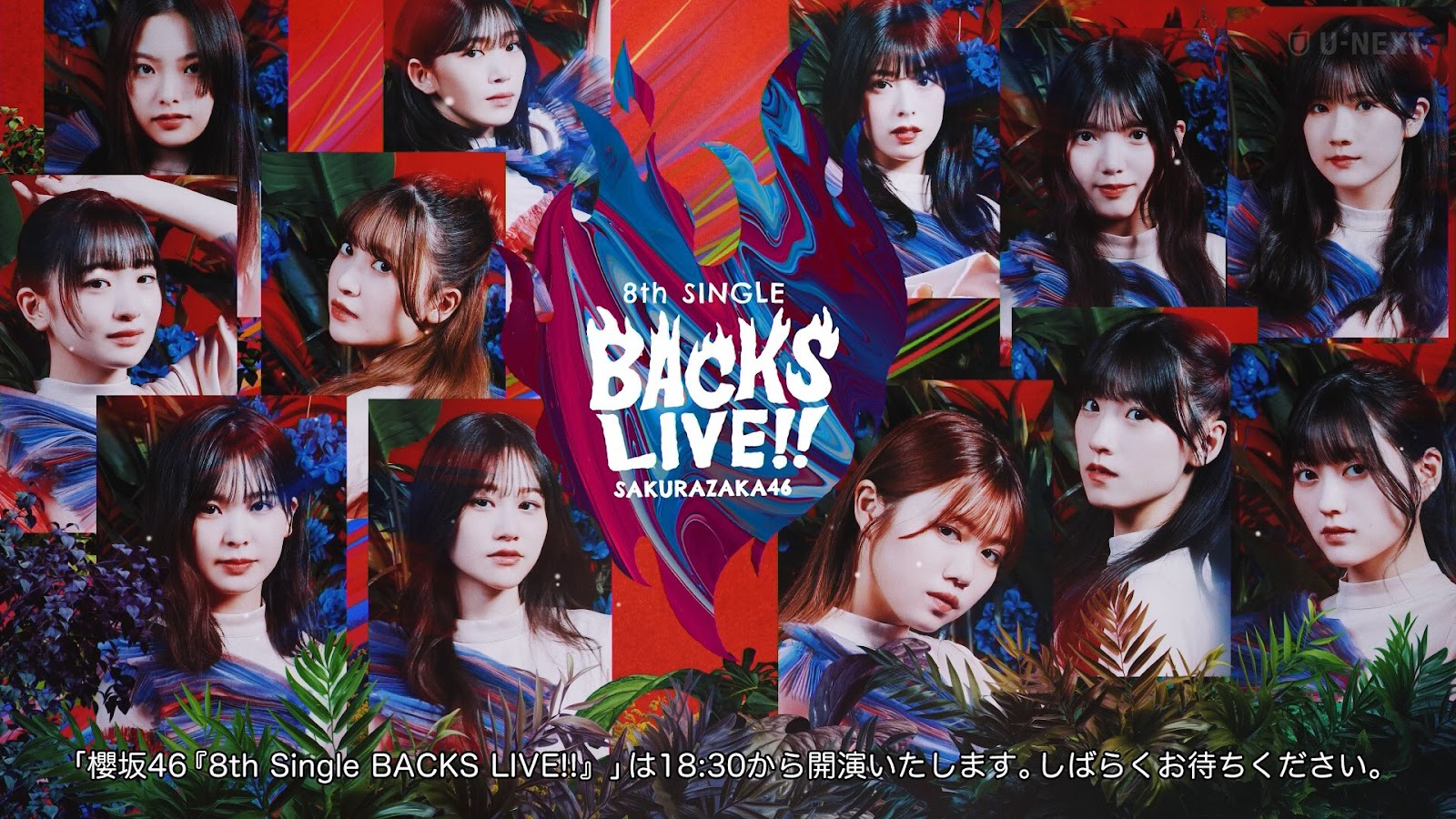 日音-櫻坂46-8th_Single_BACKS_LIVE!!-DAY1